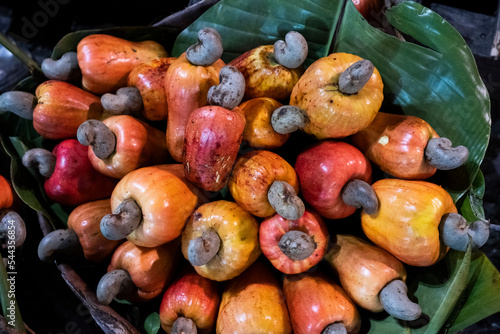 cashew © Isabela Senatore