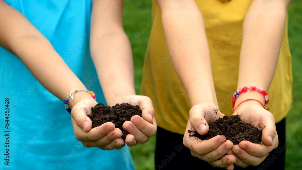 Children holds the soil in their hands. Selective focus. Children holds the soil in their hands. Selective focus.