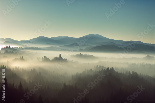 Foggy Landscape 