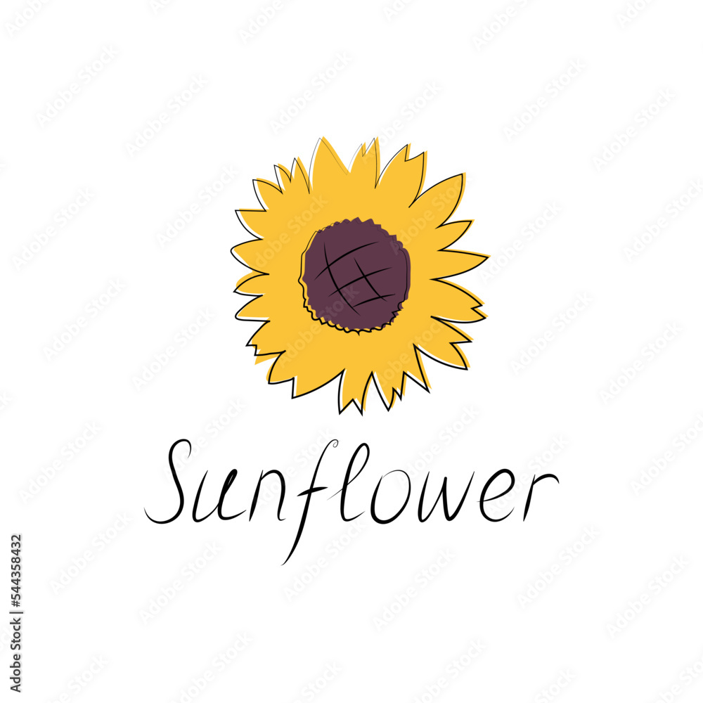 Fototapeta premium Sunflower icon isolated on white background, card template, for book, cover, banner. Hand painted flowers. Vector