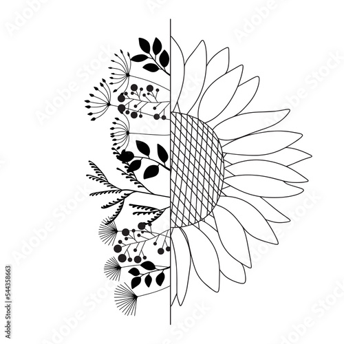 Hand draw doodle flower illustration. Half sunflower and any plants. Vector illustration.