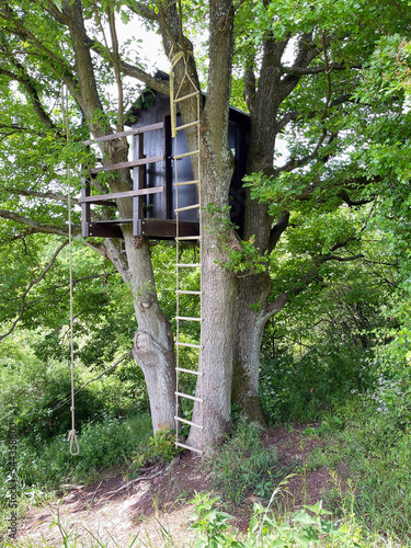 Large self-made tree house with rope ladder © Dan Race