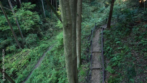 Descending path in a Japanese forest scenery, Jike Furusato Village in Aoba-Ward of Yokohama photo
