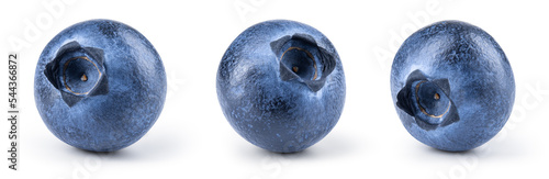 Fotografía Blueberry isolated
