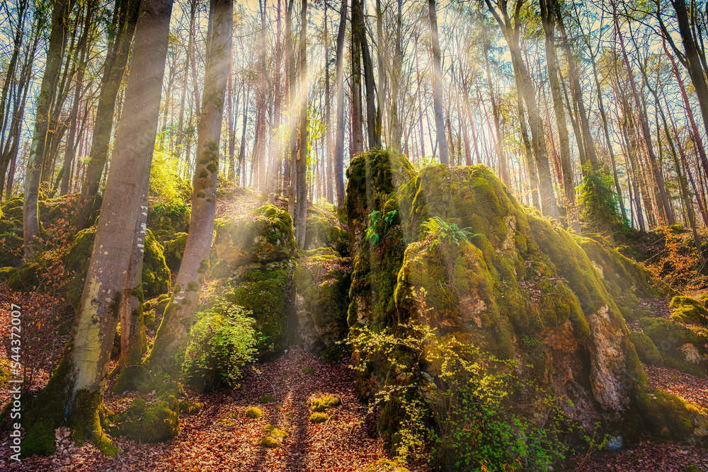 Obraz premium Sunbeams penetrate a forest with a moated rock formation in Franconian Switzerland/Germany