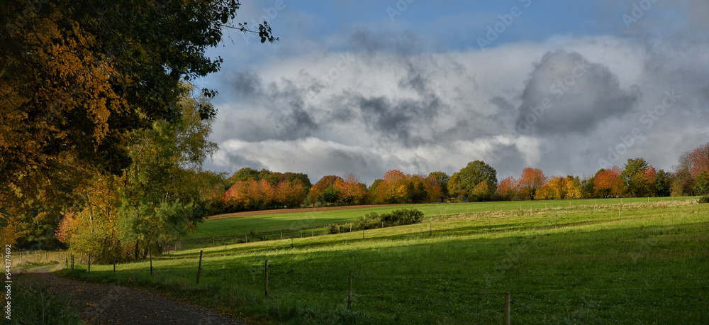 Obraz premium Panorama im Herbst von der Eifel