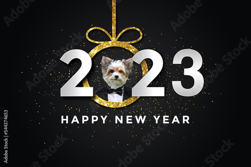 Photography Happy new year 2023 with a Dog, biewer yorkshire
