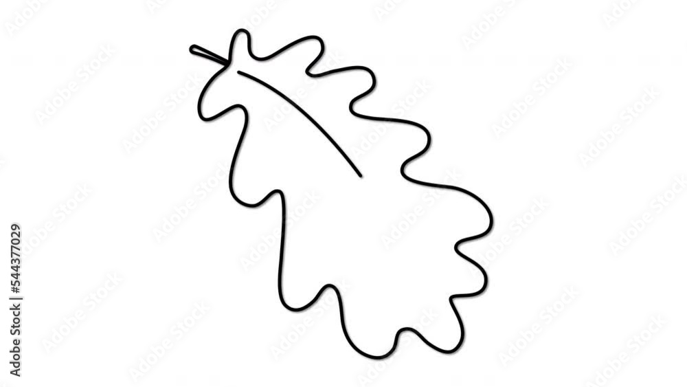 Oak leaf outline self drawing animation. Oak leaf outline self drawing animation.