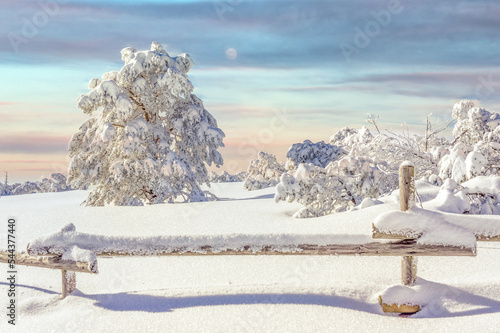 Beautiful winter wonder landscape Black Forest, Germany  photo