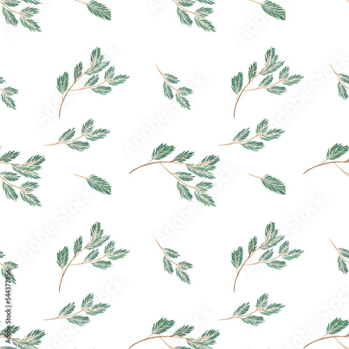 seamless watercolor pattern png spruce and cone Christmas