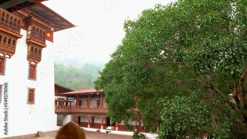 Bodhi tree in Bhutan