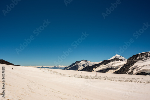 The Great Aletsch Glacier, the largest and longest glacier in the Alps.