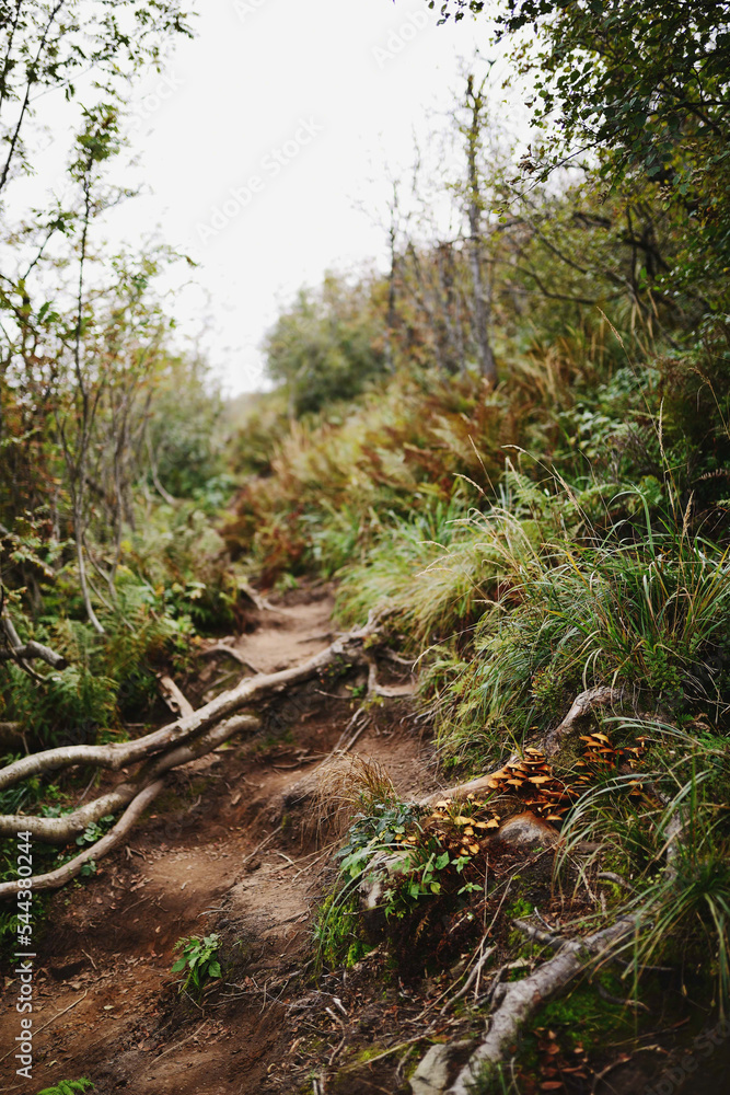 Hiking trail, Bieszczady Mountains - Sep 2016 - Poland Hiking trail, Bieszczady Mountains - Sep 2016 - Poland