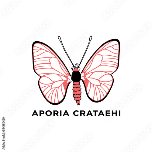 Wall Mural Minimal aporia silhouette butterfly vector icon on a background