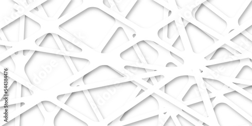 Abstract of white architectural structure pattern, Concept of future design .Creative and geometric shape with white luxury pattern and paper texture design in illustration with white line background 