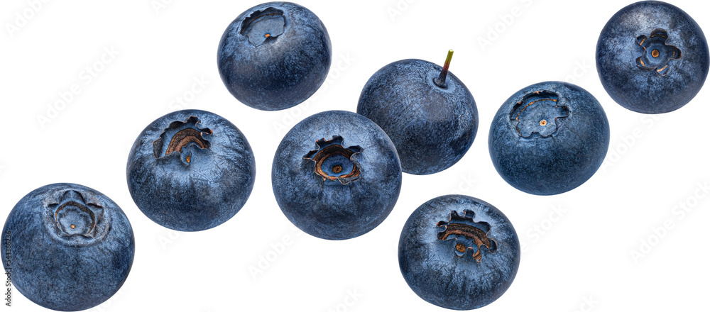 Blueberry berry isolated - obrazy, fototapety, plakaty 