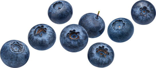Blueberry berry isolated