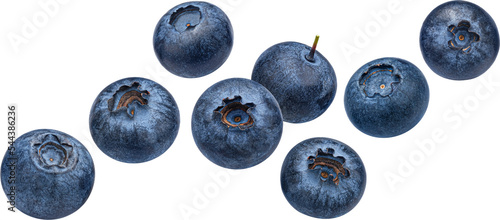 Obraz na plátně Blueberry berry isolated