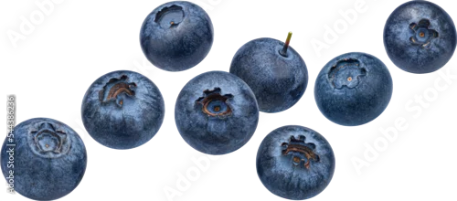 Obraz  z motywem Blueberry berry isolated
