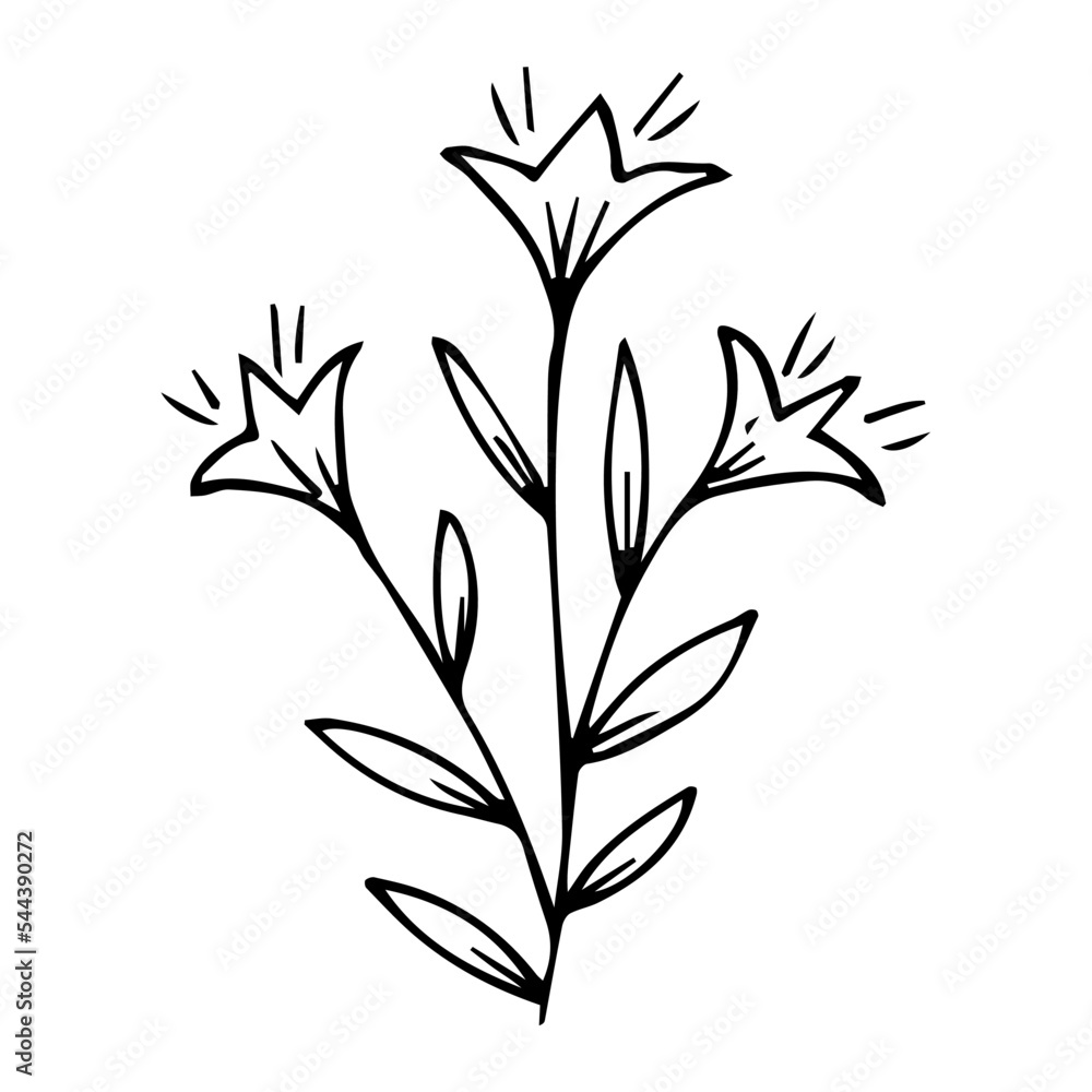 hand drawn botanical flower doodle element for floral design concept hand drawn botanical flower doodle element for floral design concept