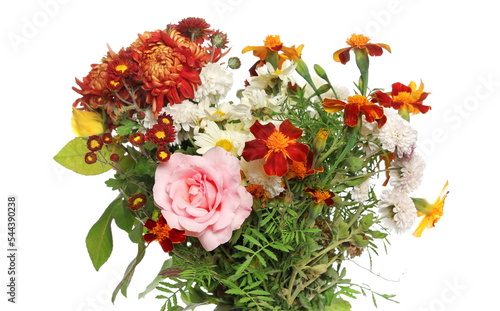Bouquet of different colorful fresh flowers isolated on white