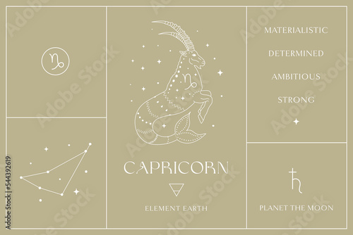 Capricorn Zodiac Sign White Design Illustrations. Esoteric Vector Element, Icon photo