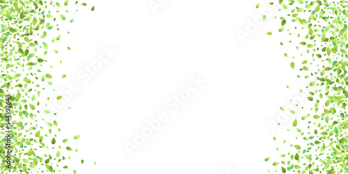 Leaves Green Falling Flying Foliage Leaf Tea Mint