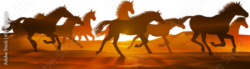 Принти на полотні Running Horses Silhouette Herd Background