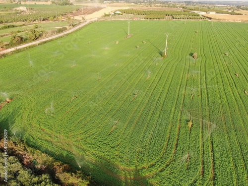 Sprinkler irrigation