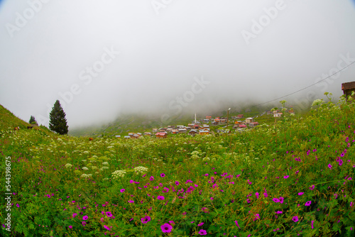 Elevit Plateau (Camlihemsin / Rize / Turkey) photo