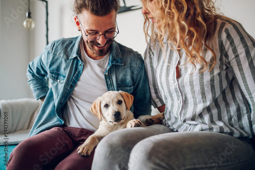Картината върху платно Couple petting their adopted dog while sitting on the couch at home