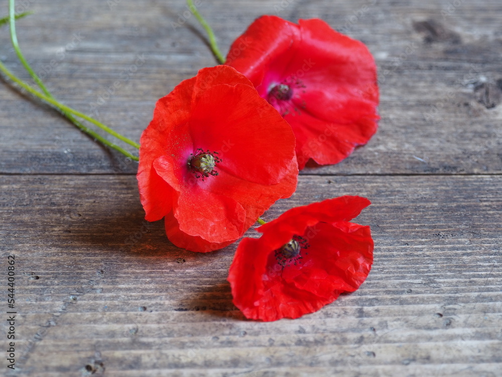 Poppies and on a wooden background. World War Remembrance Day. Memorial event