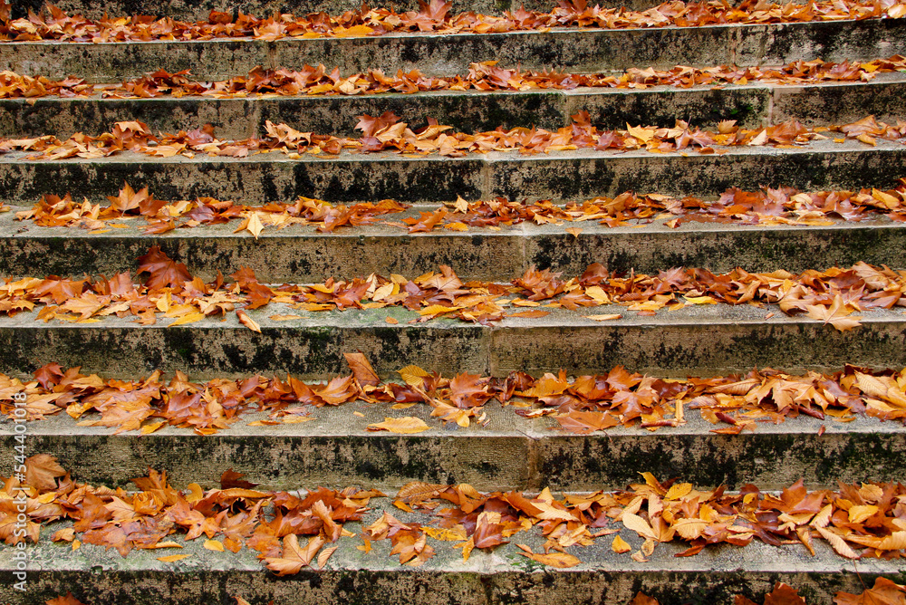 stairs with autumn leaves view on old stone steps in autumn park.