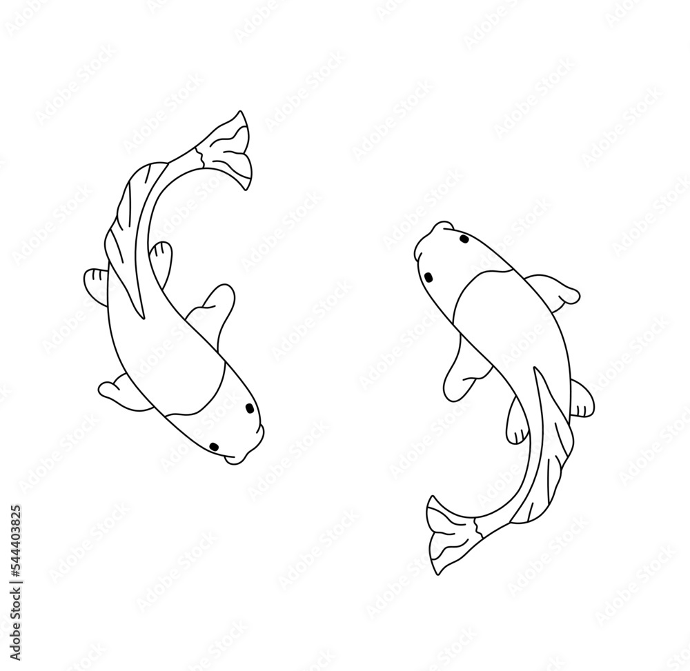 Vector isolated two floating koi karps side view colorless black and white contour line easy