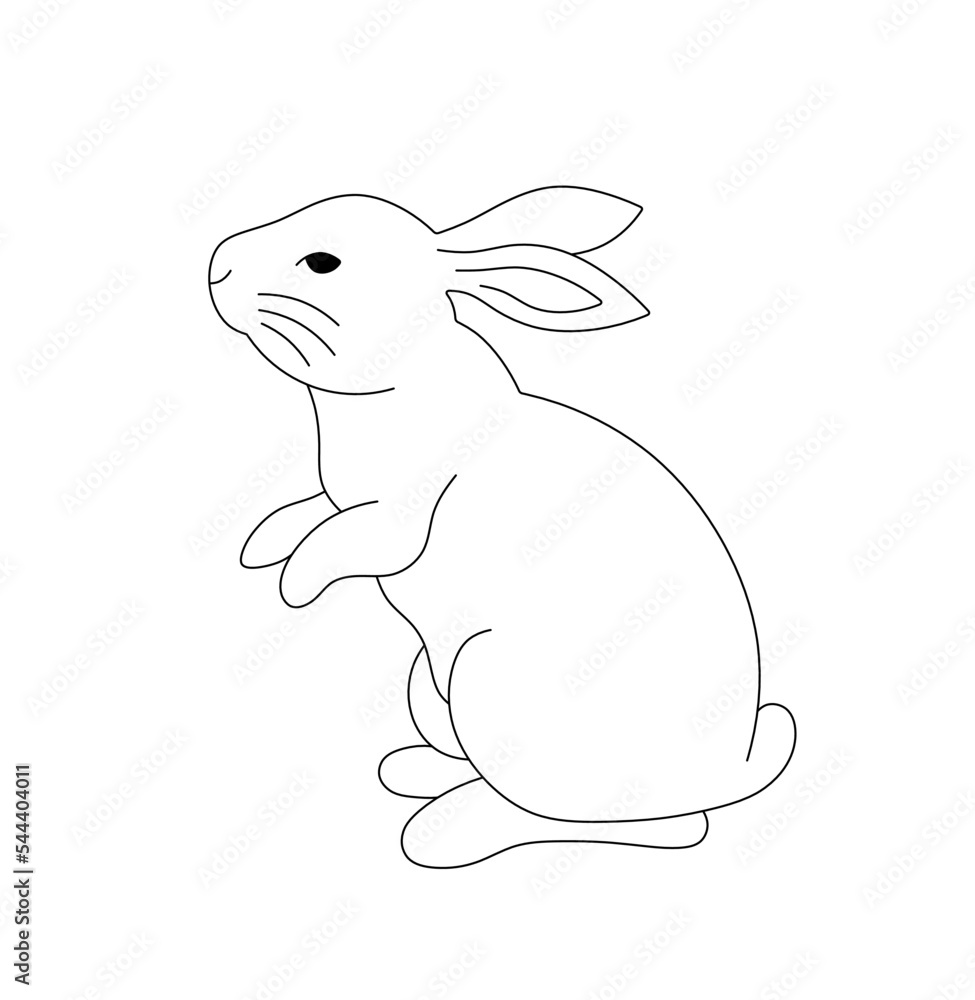 Vector isolated small simple cute rabbit bunny hare standing on hind paws  colorless black and white contour line easy drawing Stock Vector | Adobe  Stock