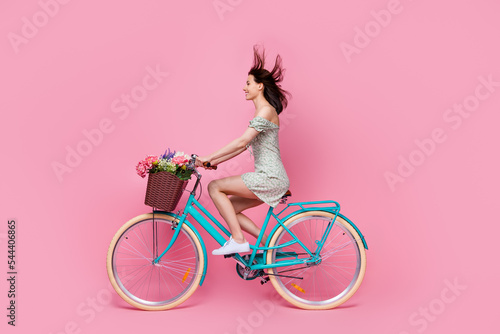 Fototapeta Naklejka Na Ścianę i Meble -  Profile side full body photo of positive cheerful lady wear mini skirt ride bicycle weekend look empty space isolated on pink background