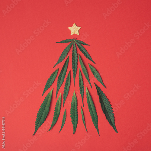 Christmas tree made of green marijuana, cannabis leaves and gold star on red background. Flat lay, top view. Minimal winter holiday concept.