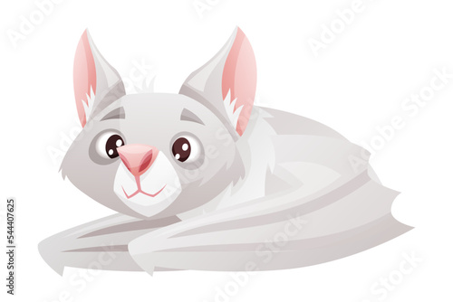 Funny Grey Bat with Cute Snout and Pointed Ears Sitting with Closed Wings Vector Illustration