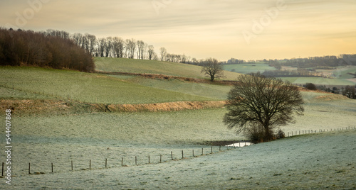 landscape in the morning