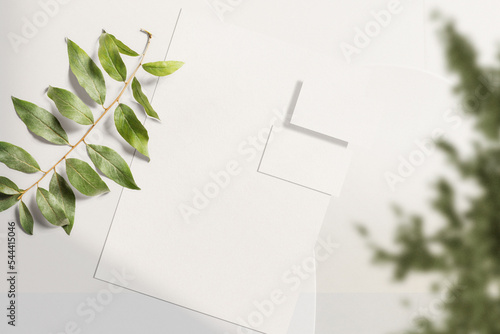 Clean minimal business card and paper A4 mockup on top table with plant and leaves