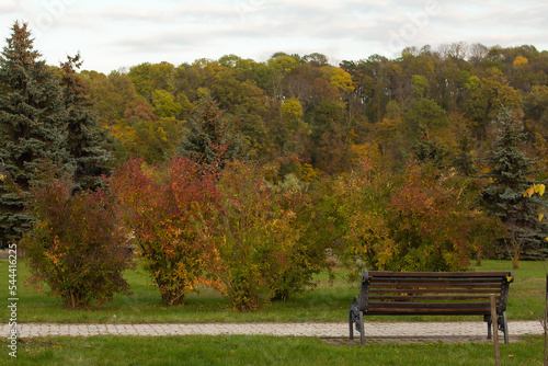 A bench in an autumn park