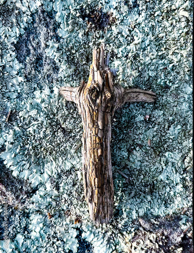 nature wooden cross