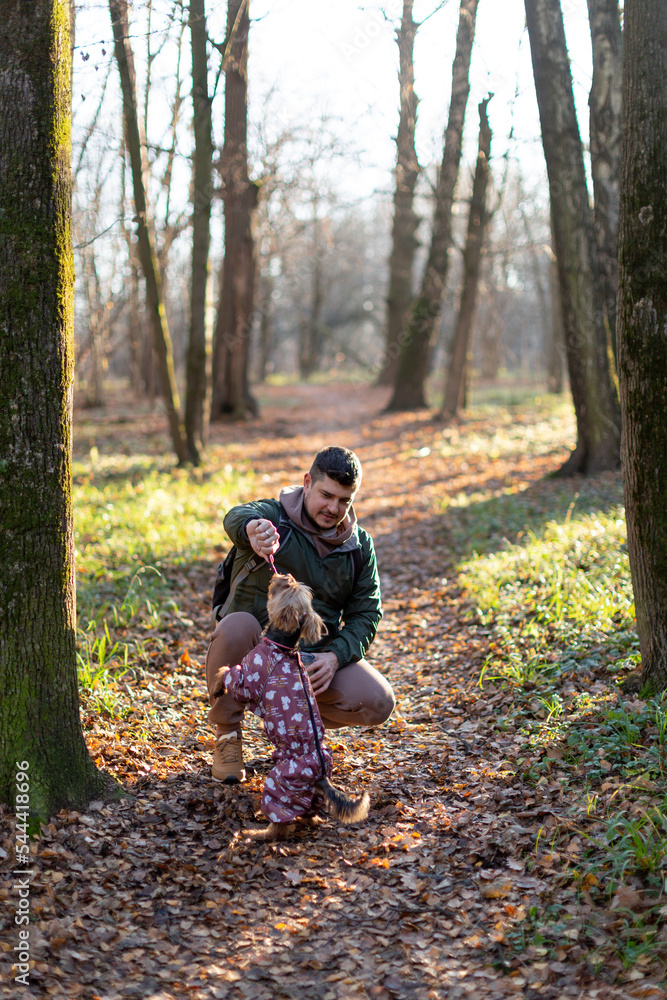 A man walks a dog in an autumn forest park, plays with a stick, drinks coffee in a reusable thermocup A man walks a dog in an autumn forest park, plays with a stick, drinks coffee in a reusable thermocup