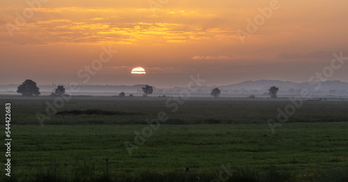 landscape of Lille Vildmose nature reserve photo