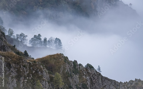 A rocky mountain covered with trees protrudes and rises above the clouds and fog  the ridge of the mountain in the fog in autumn