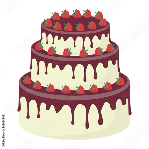 Cake isolated on a white background.