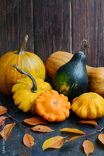 Multicolored zucchini and pumpkins of different varieties on a wooden background. Vertical