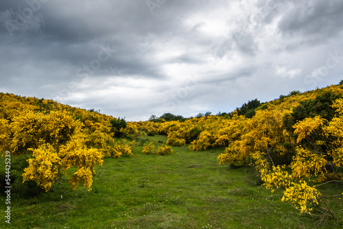 landscape of Mols Bjerge National Park