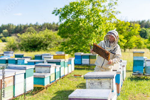 Beekeeping man with wooden frame in apiary. Professional beekeeper holding honeybee frame.