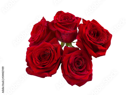 Red rose flowers arrangement isolated on black background